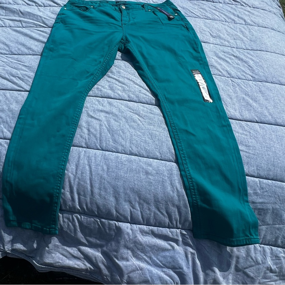 NWT Ana Teal Plus Size Skinny Jeans Size 20W